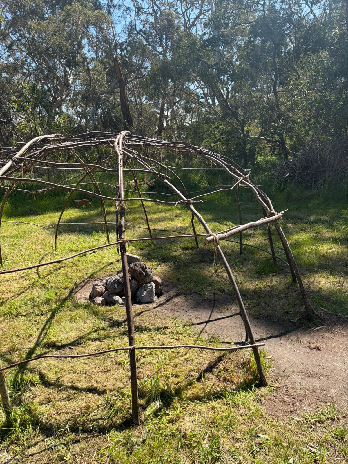 The uncovered branch framework of the Lodge with stones at its centre, among sunlit trees.